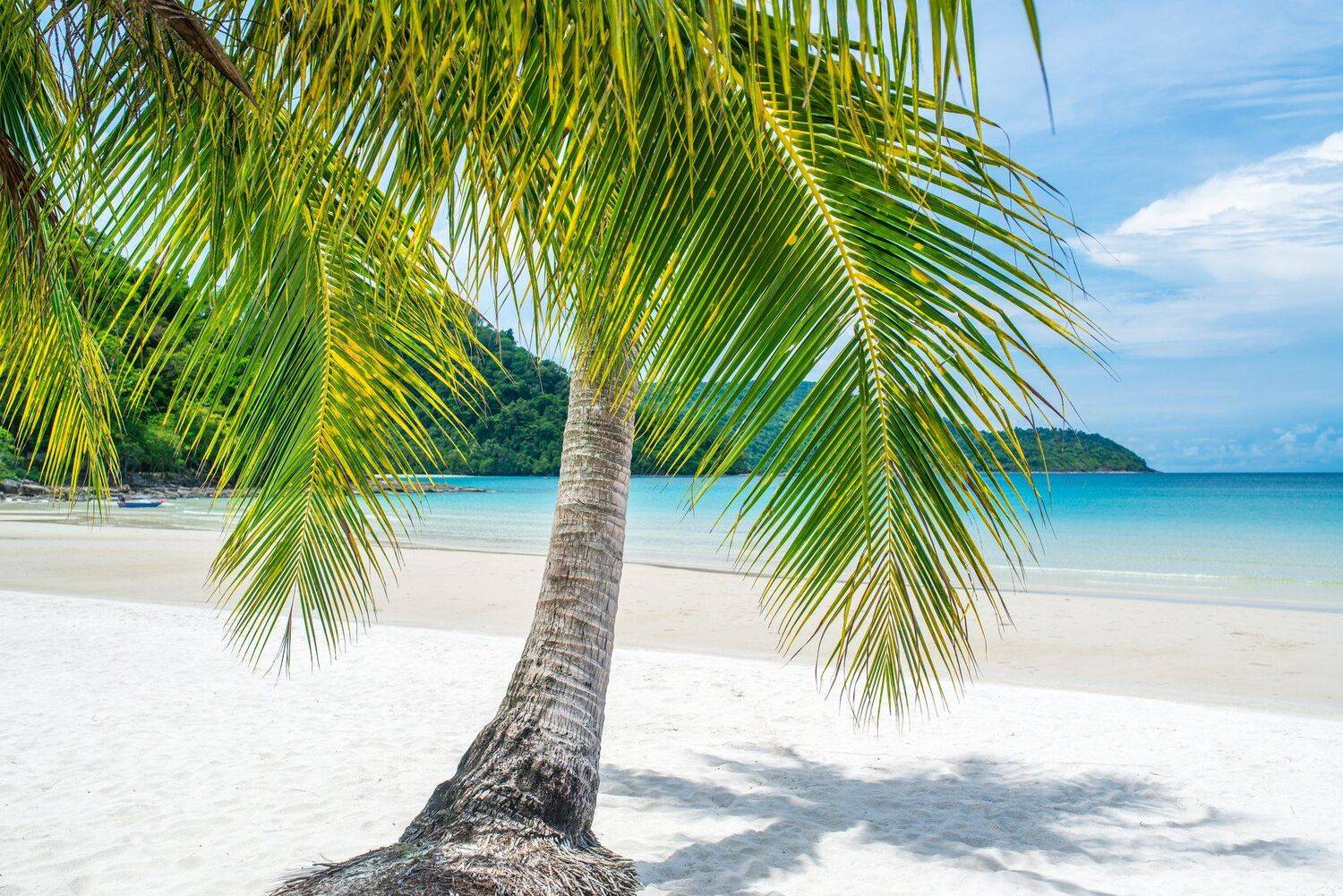 пляж, баунти, остров, тропики, тропический, океан, море, лето, отпуск, Василий Яковлев