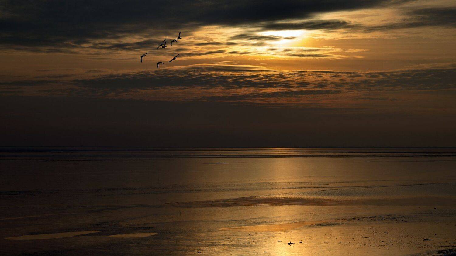 , Алексей Рыльский