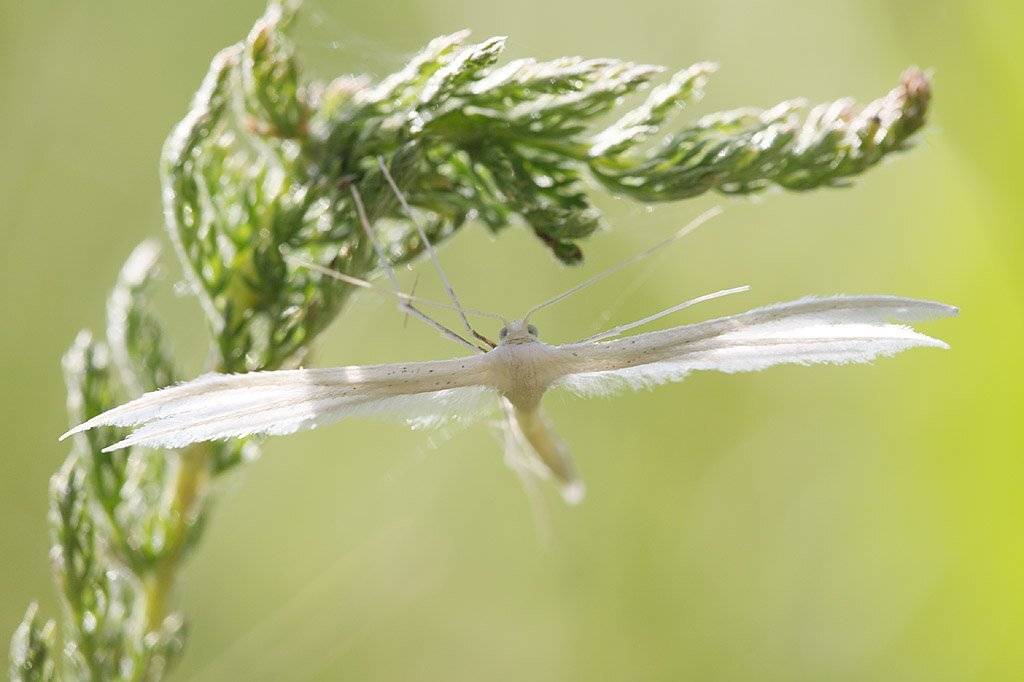 , Сергей Таланов