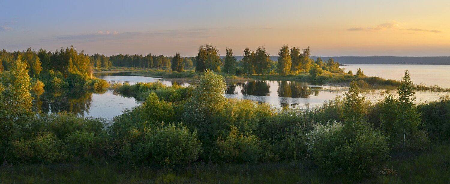 июнь, тёплый вечер, солнечный свет, простор, тишина, Irina Shapronova