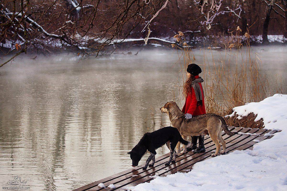 зима, зимняя прогулка, туман, Былич Влада