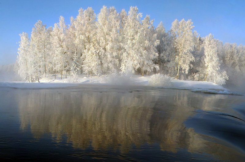 Большой Толли фото превью