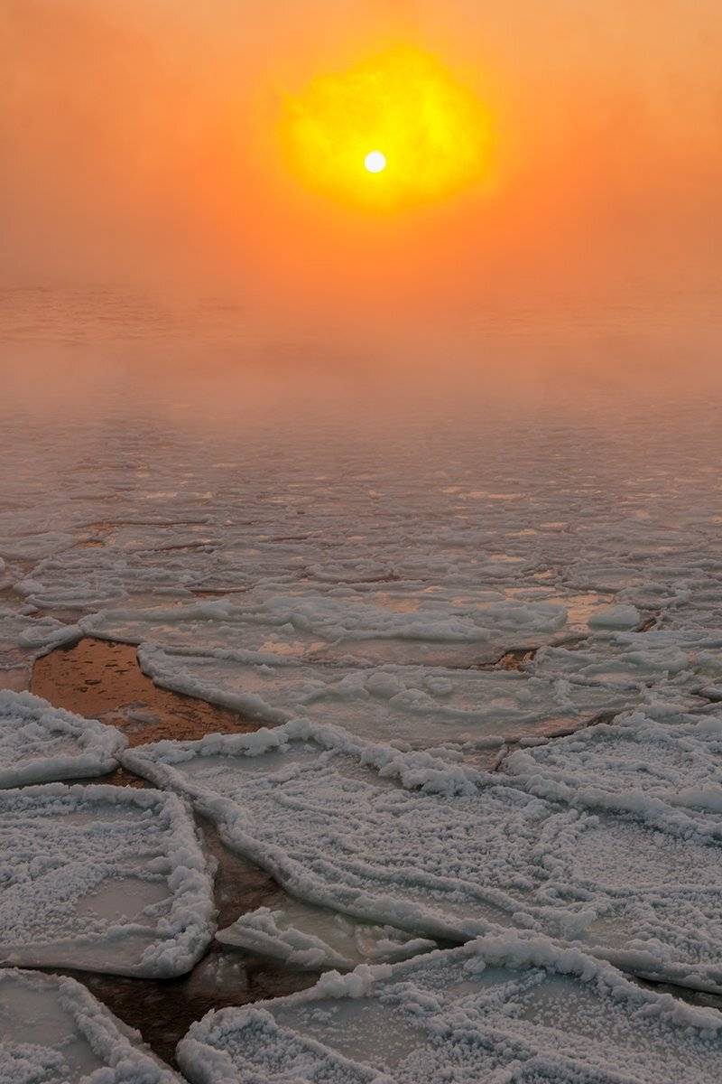 , Александр Абросимов