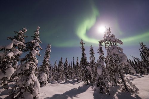 Aurora Borealis
