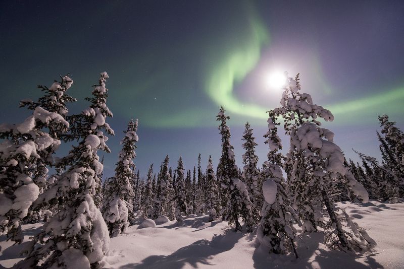 Aurora Borealis, северное сияние, Колький полуостров Aurora Borealis фото превью