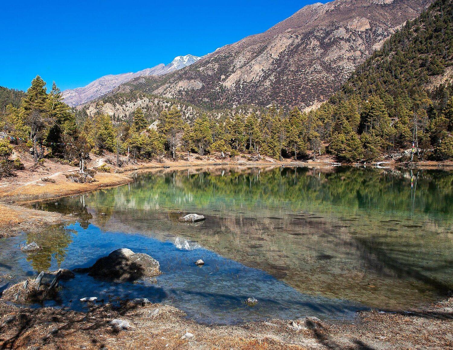 , Виктор Белименко