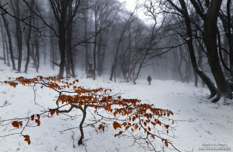 Оттепель фото превью