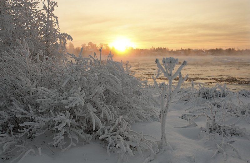 *** фото превью