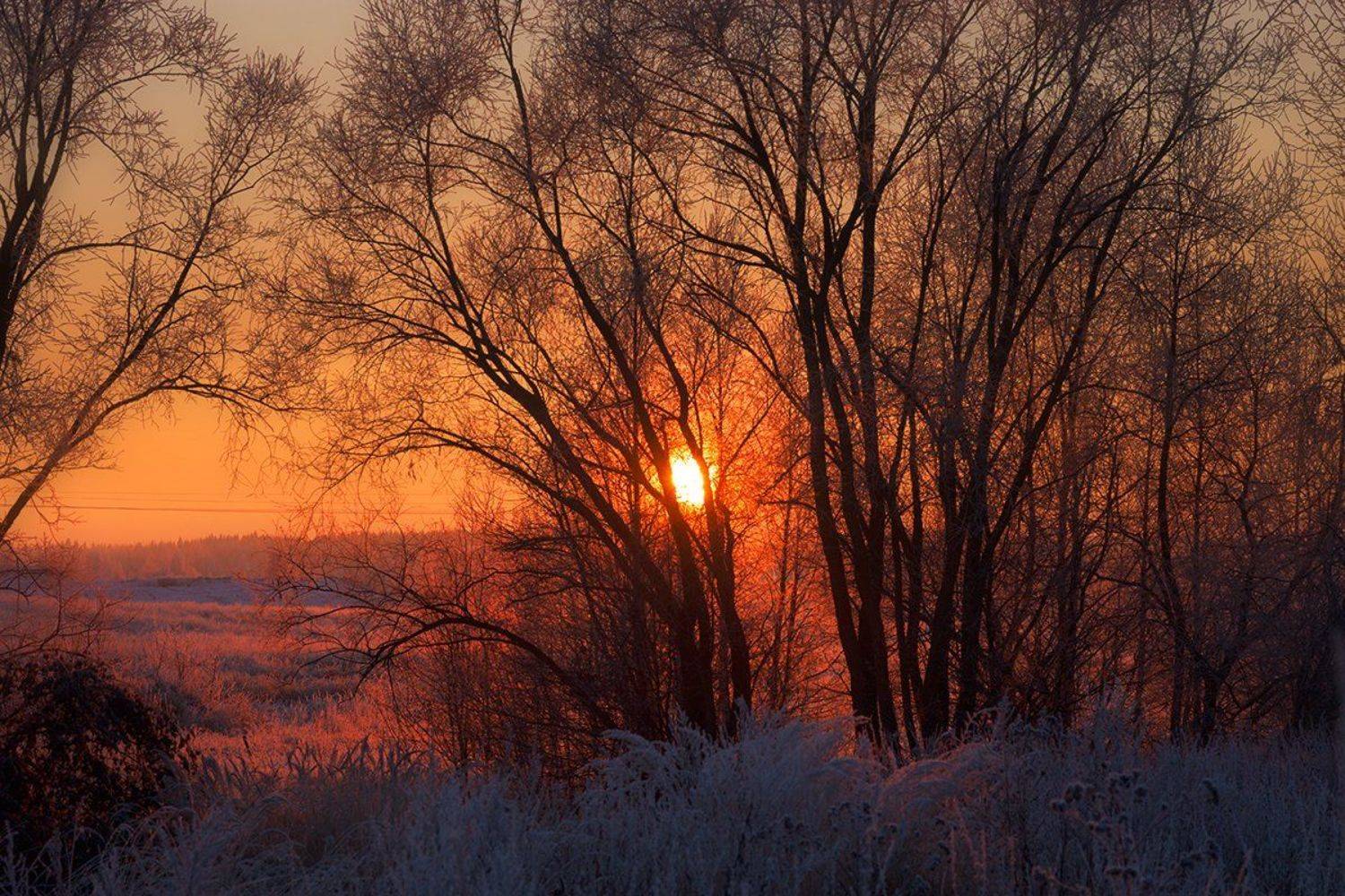 , Анна Кудрявцева