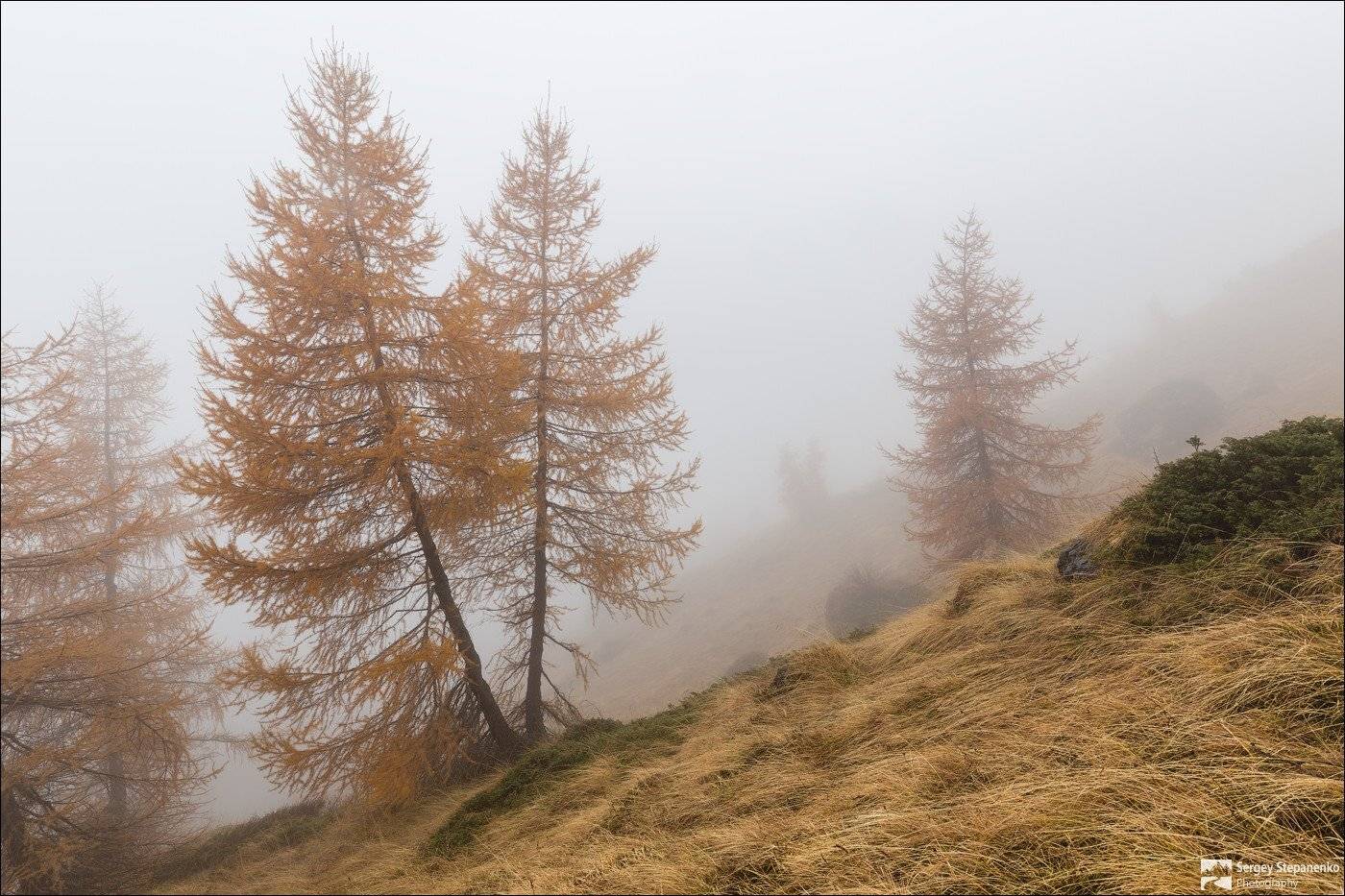 , Sergiy Stepanenko