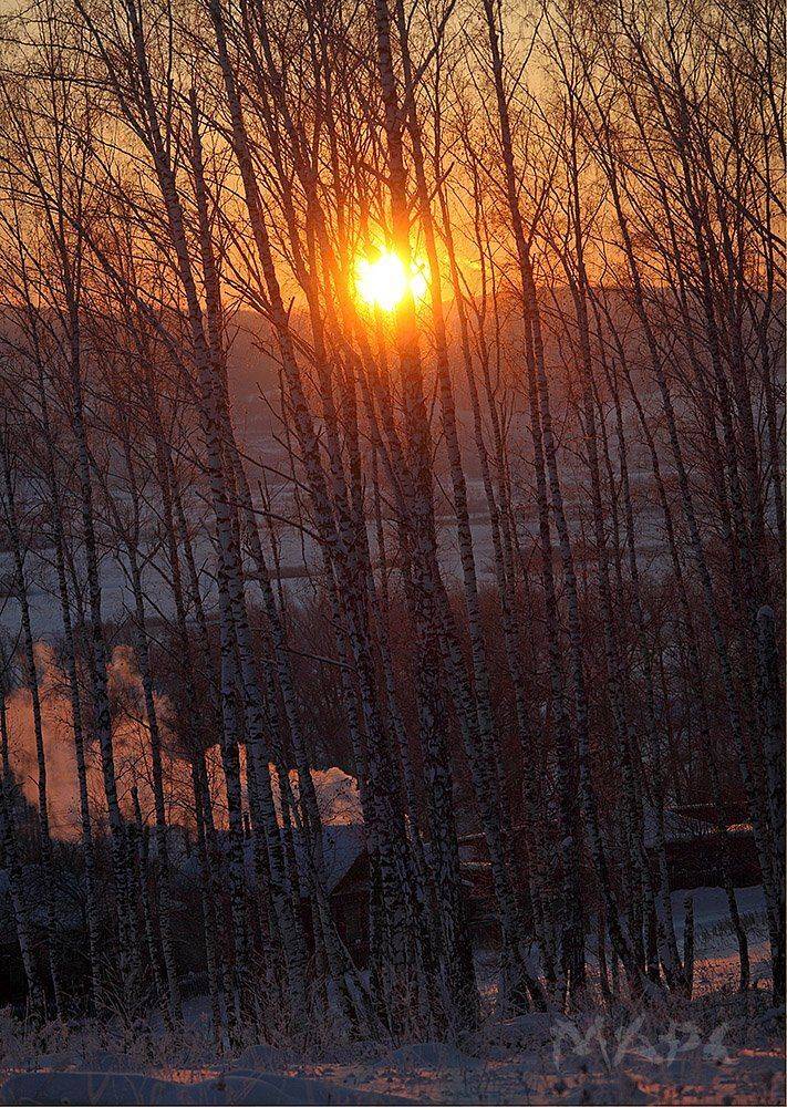 , Шангареев Марс