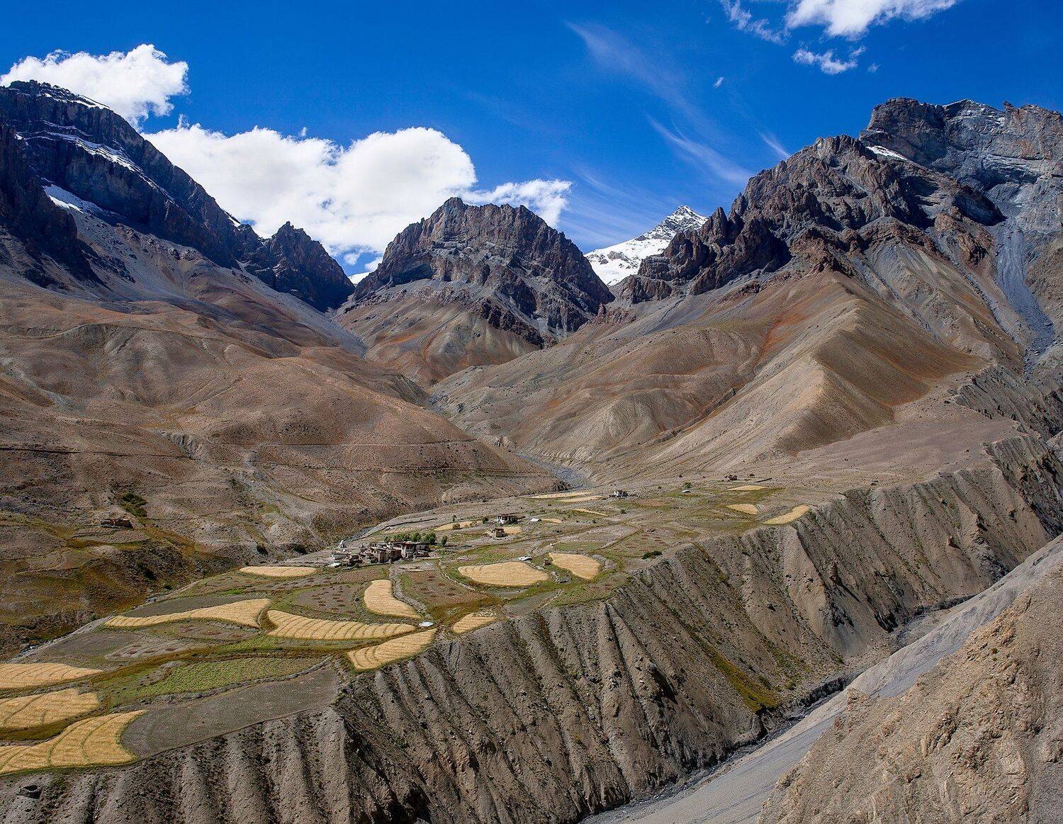 , Виктор Белименко