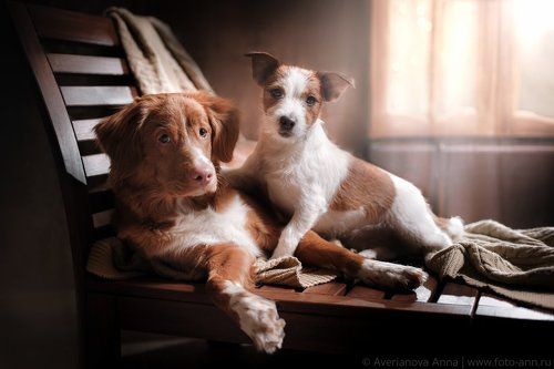 утро в деревне