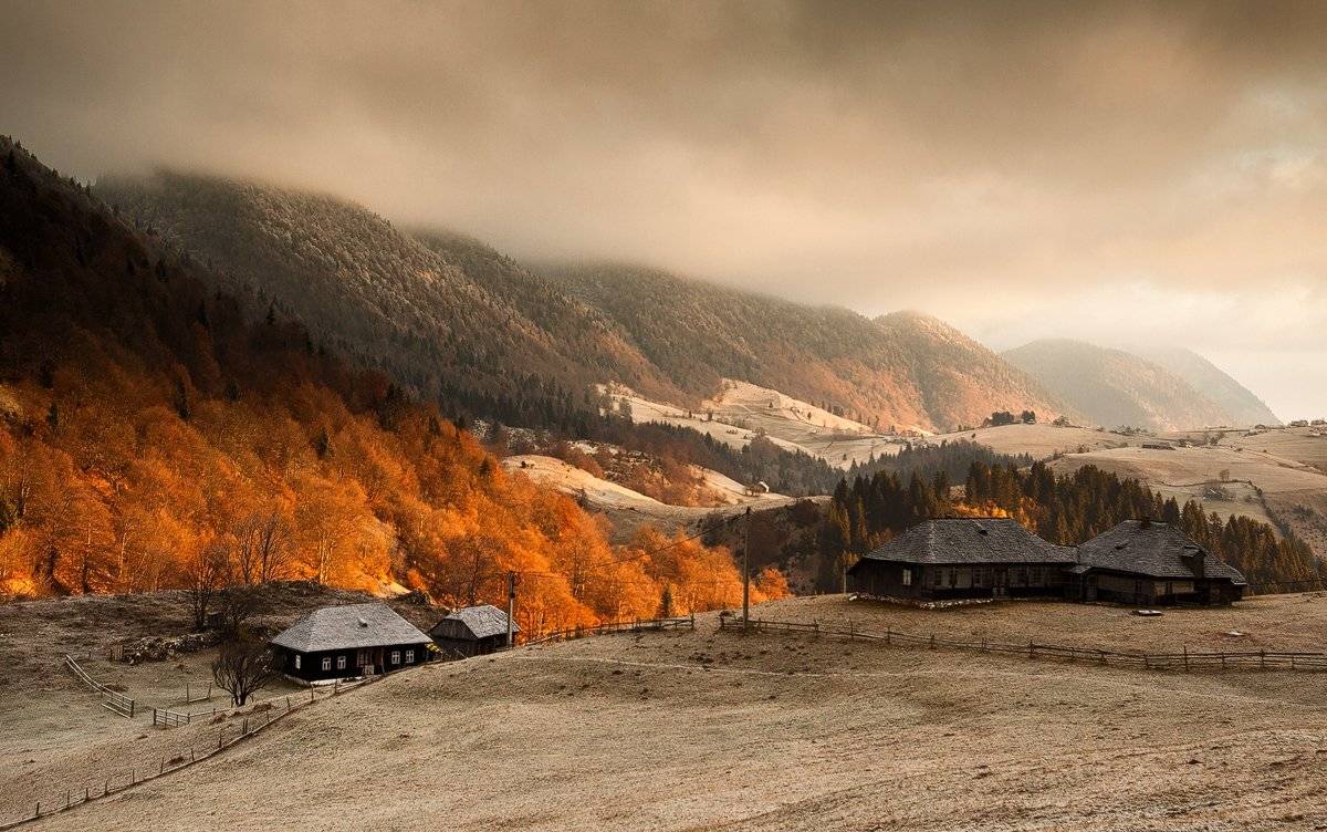 , Nicolae Fanurie Chirobocea