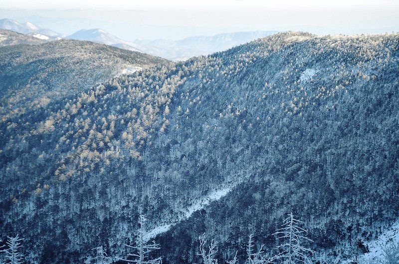 сихотэ-алинь, ливадийский, хребет, горы, тайга, иней, приморье, приморский, дальний восток, дальневосточный Про зимние фактуры фото превью
