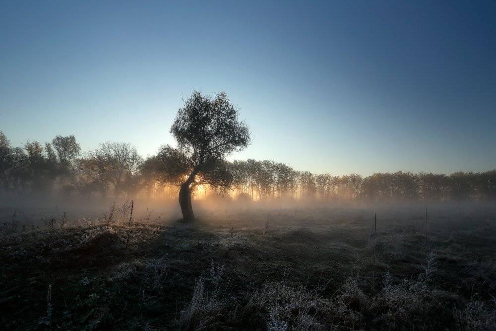 , Петриченко Валерий