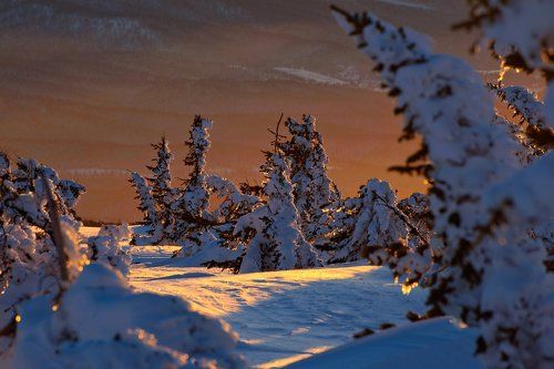 Pro один дивный Шерегешский вечер…