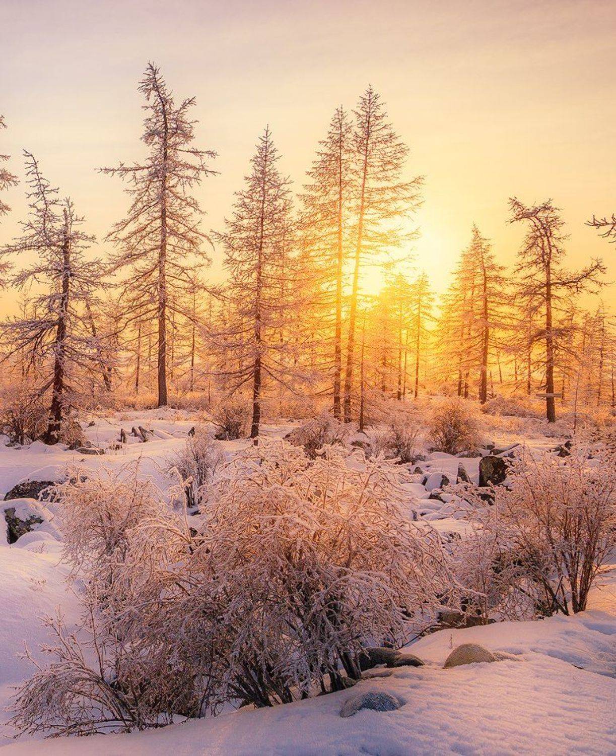 , Минаев Павел