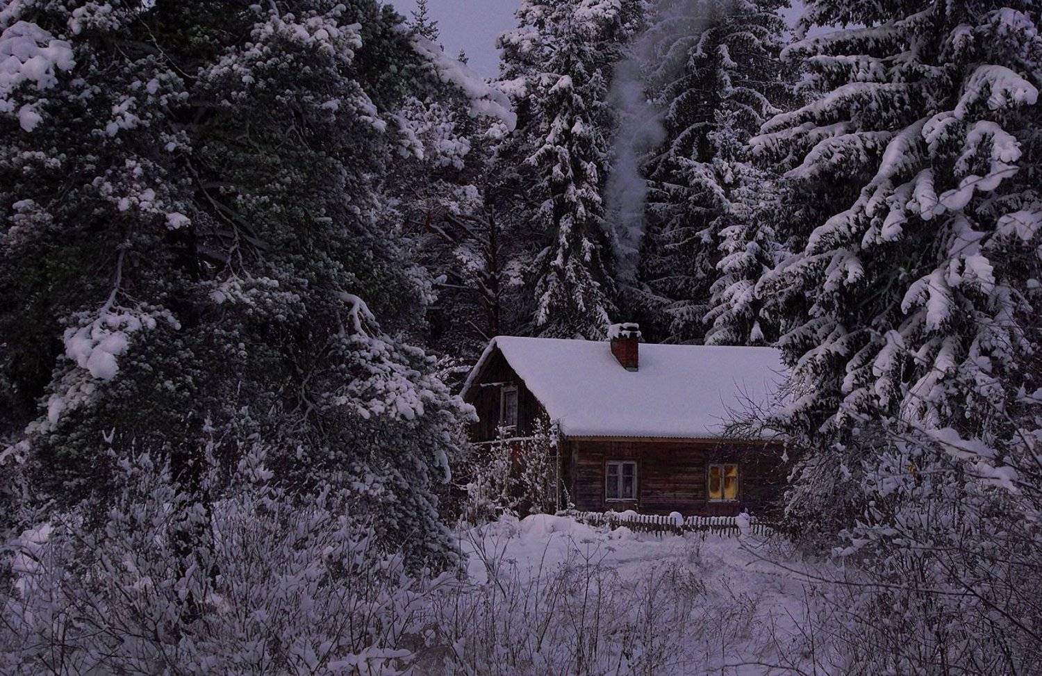 , Петр Косых