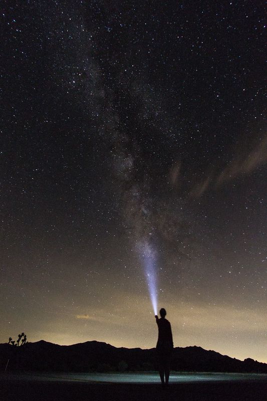 Milky way, joshua, joshua tree, stars, tree, night, sky, california, usa Milky way from Joshua tree park фото превью