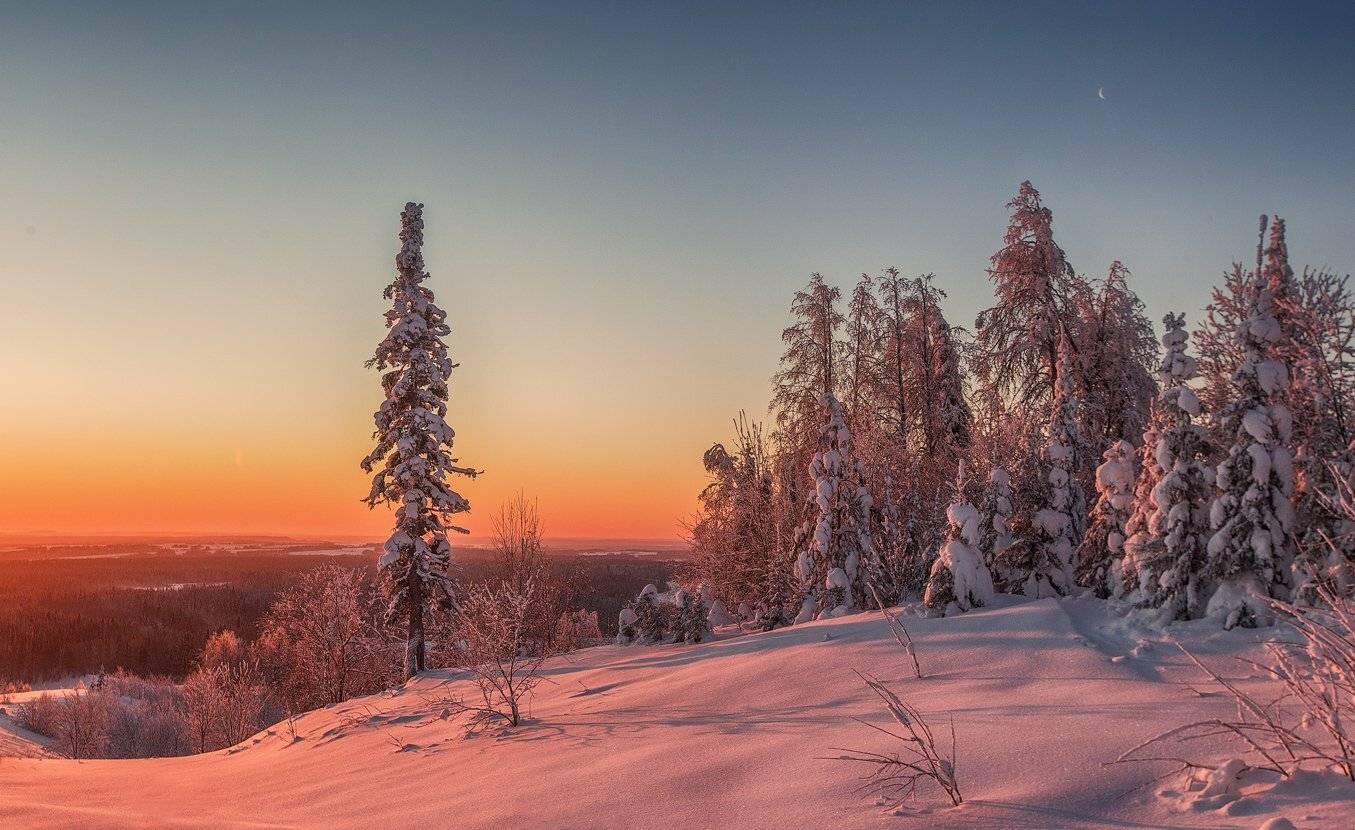 , Владимир Липецких