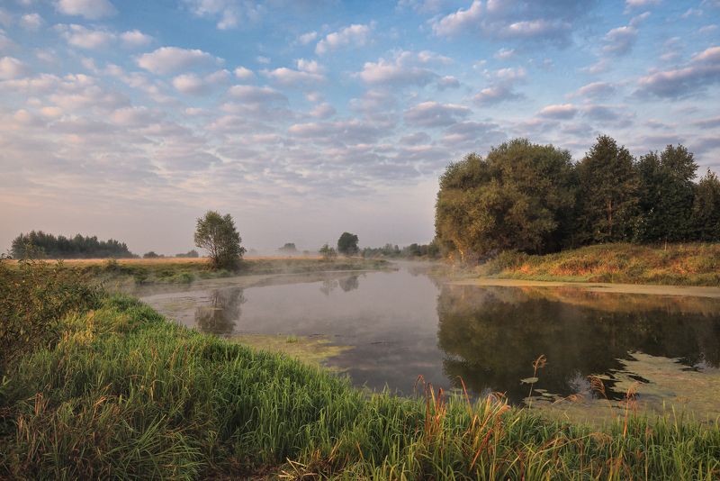 утро, рассвет, река, берег, небо, облака, свет, отражение рассвет фото превью