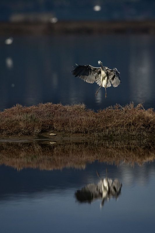 Голая правда  фото превью