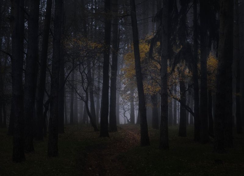 *** фото превью