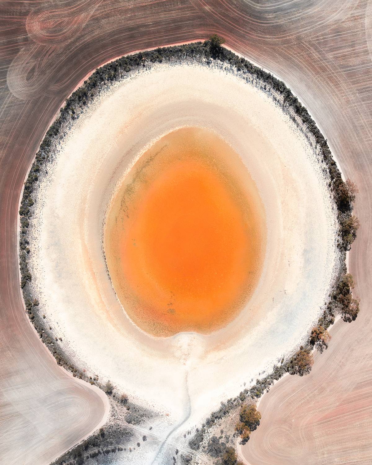 , Даниил Коржонов