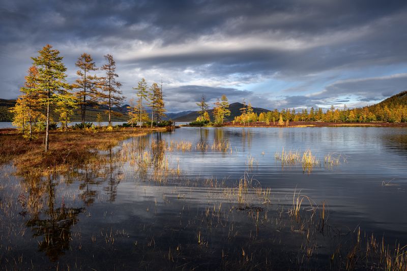 Где-то на болотах.... фото превью