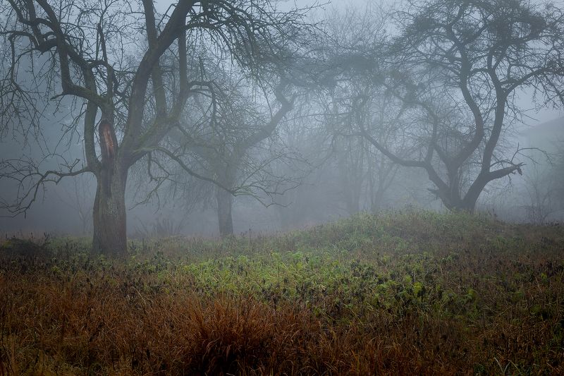 Autumn фото превью