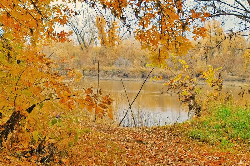 9 век фото превью