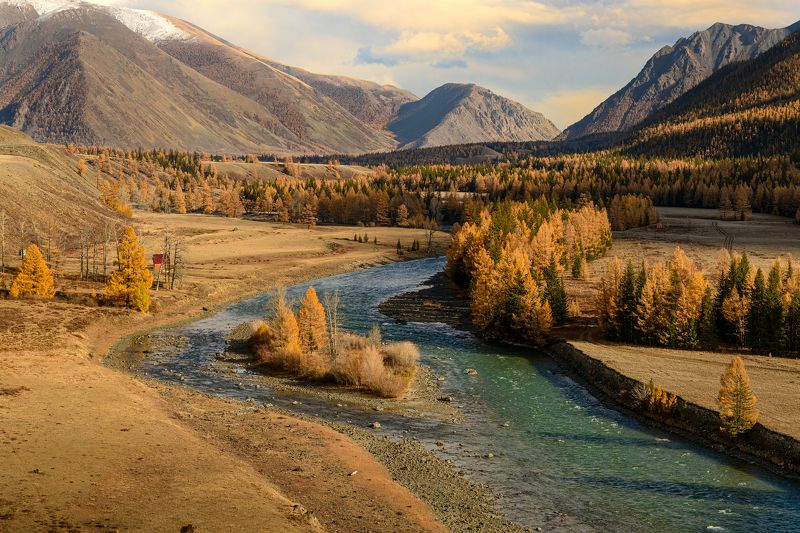 осень, горный алтай, река, путешествие Река Чуя фото превью