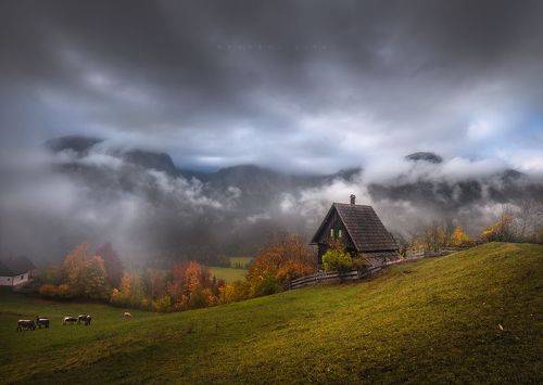 Little Hut