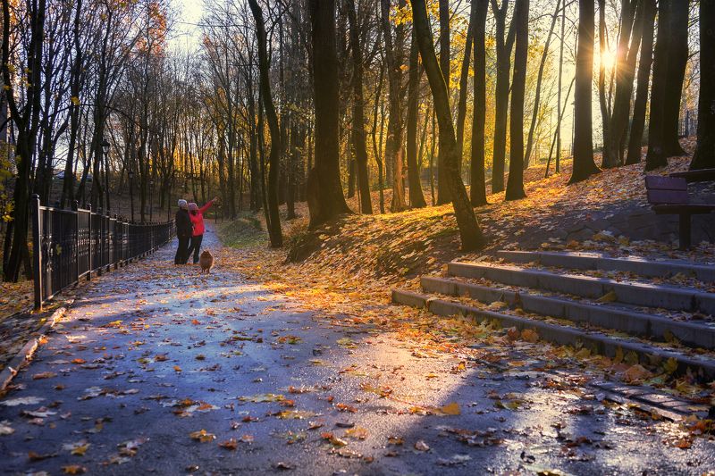Смотри, Солнце! фото превью