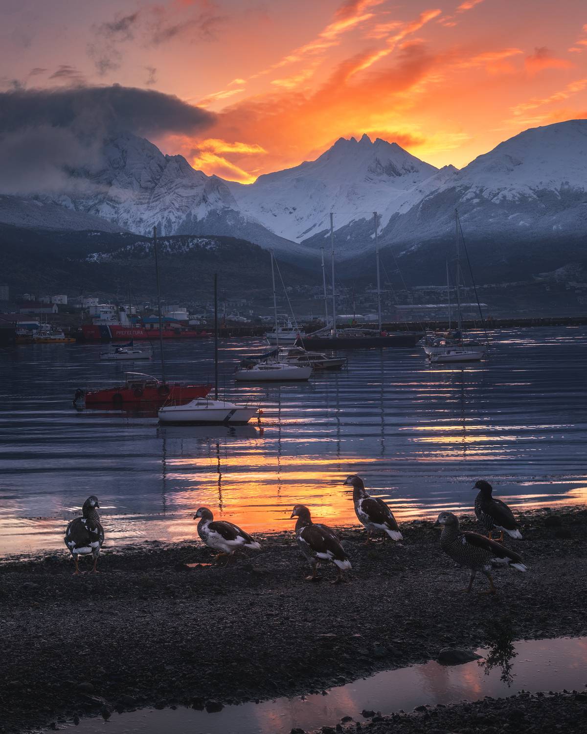 , Политова Анна