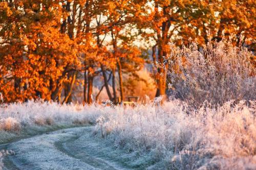 Хрустальное утро
