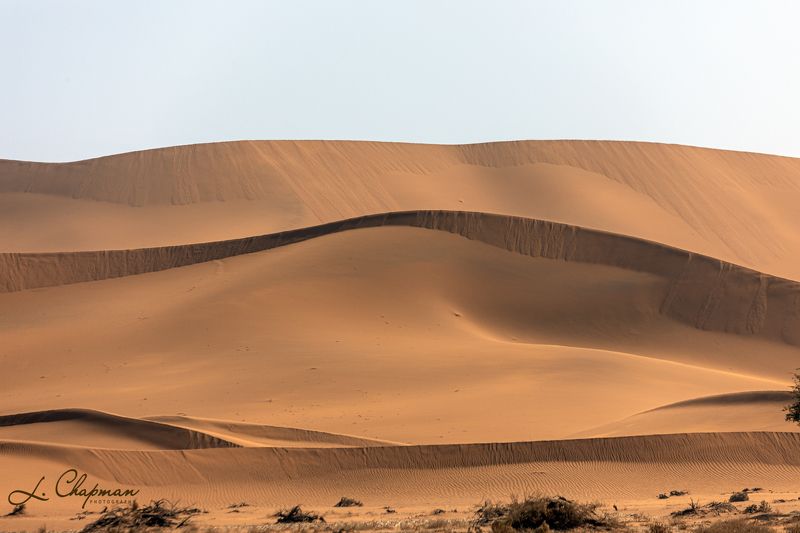 Dead Valley фото превью