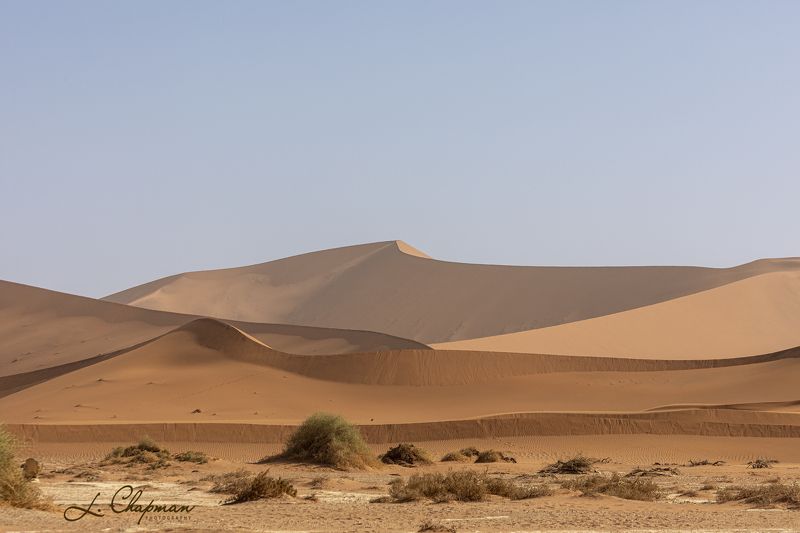 Dead Valley, 2 фото превью