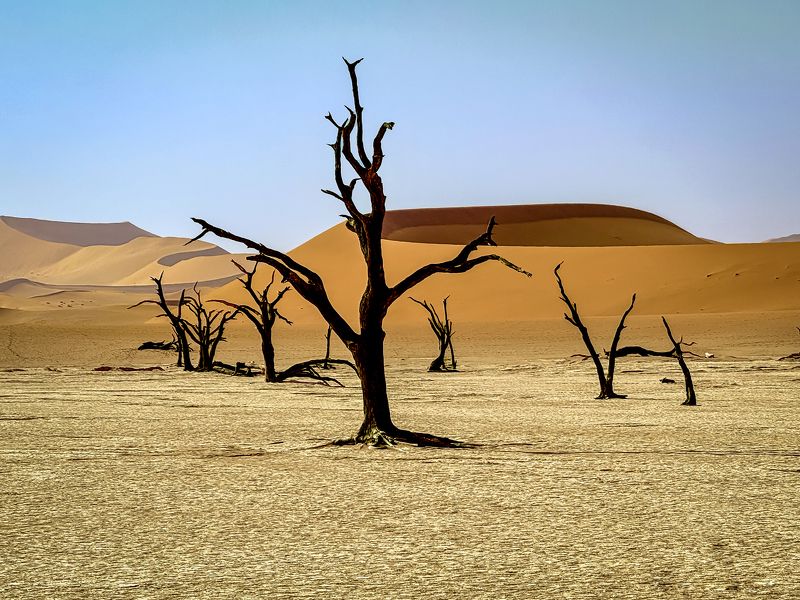 Dead Valley, 4 фото превью