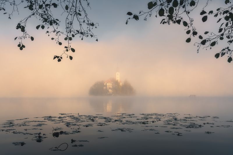 Pure Morning фото превью
