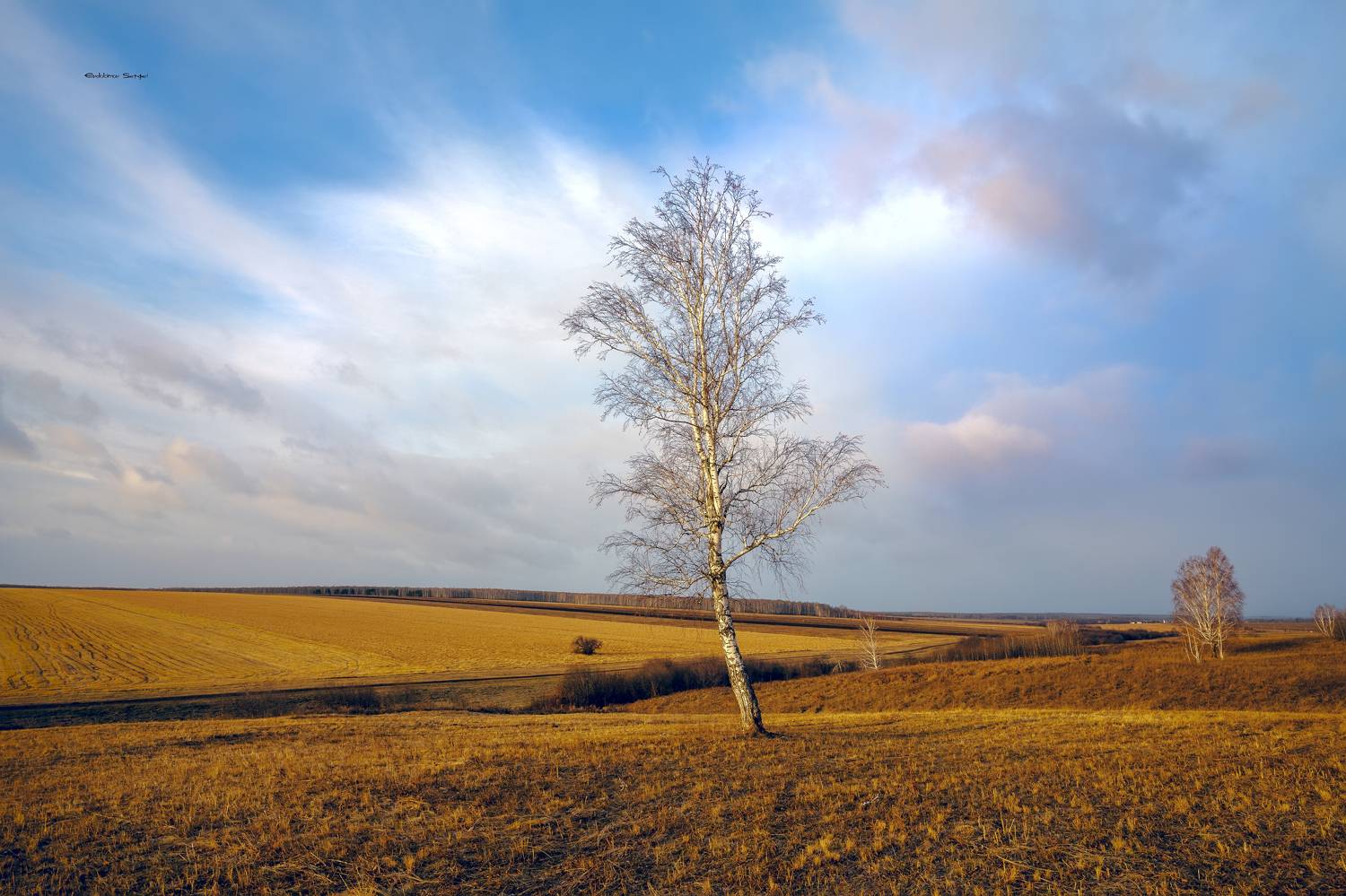 , Евдокимов Сергей