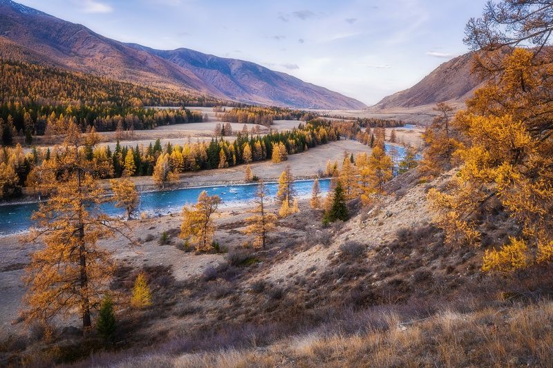 Алтайская осень фото превью