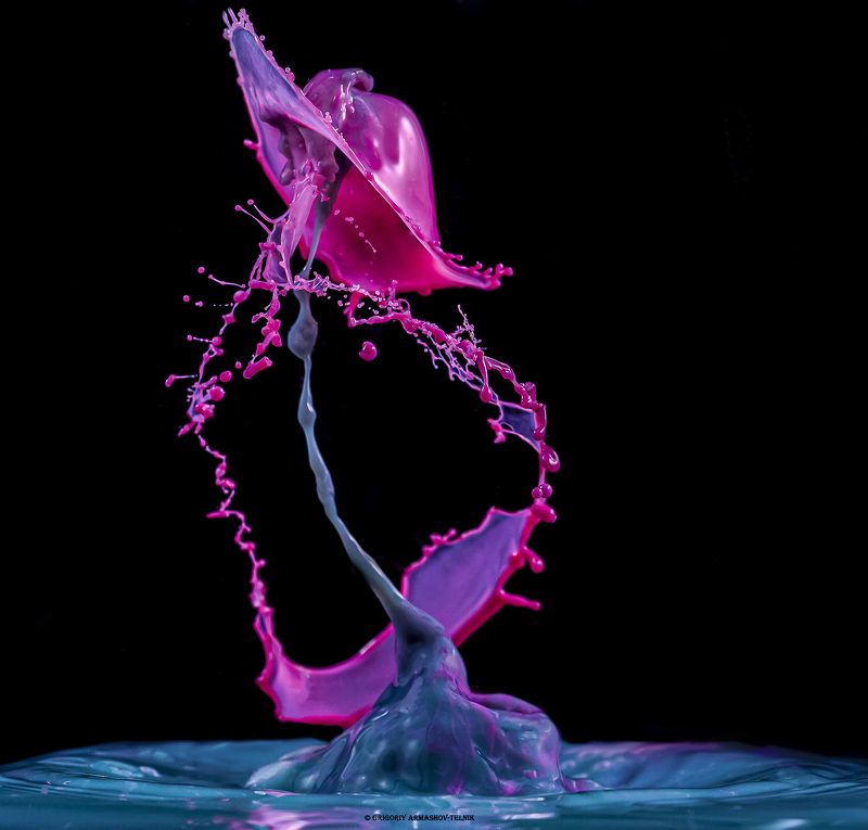 drops water macro liquid colors  pink drops фото превью