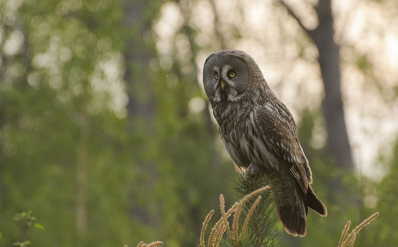 Момент взлёта :) фото превью