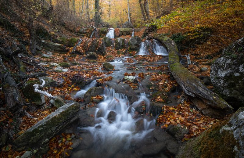 Осень в Крыму фото превью