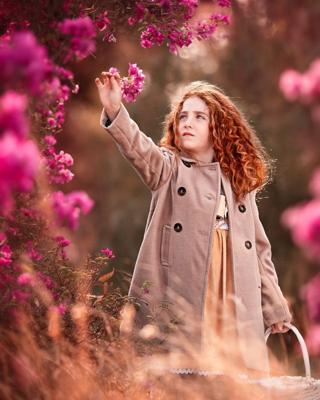 Sofi фото превью