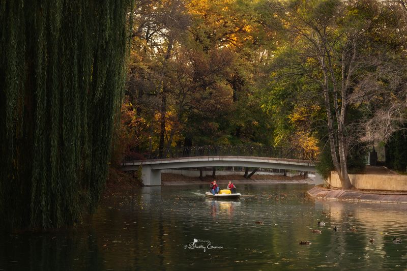 парк осень люди озеро природа Однажды осенним вечером... фото превью
