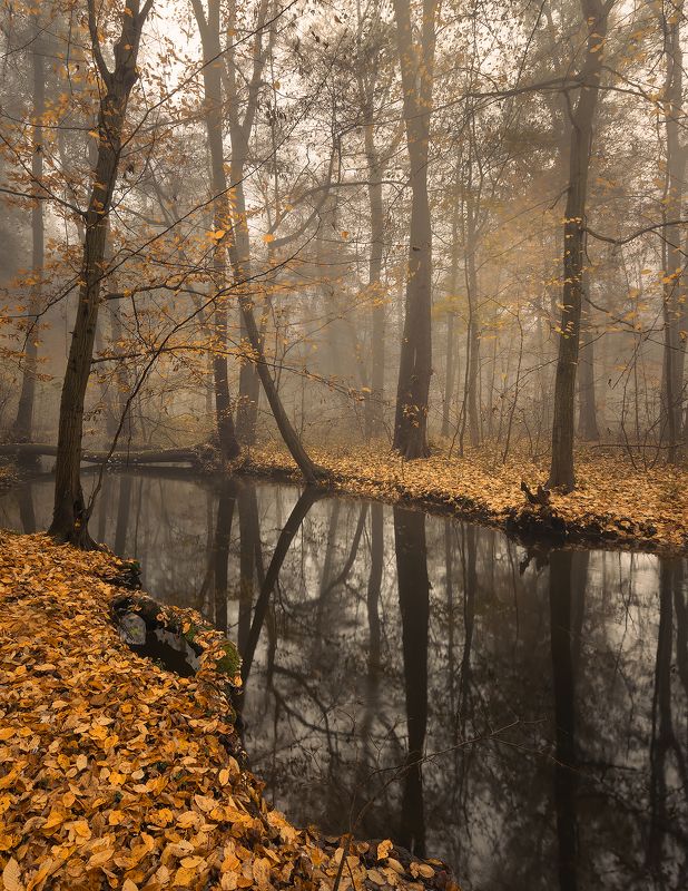 Autumn фото превью
