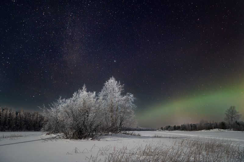 Архангельская ночь фото превью